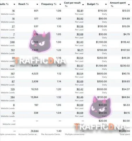 Ad account statistics: cost per application $0.40–0.92, reach 74,944